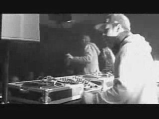 virecourt pool1 and tikal