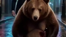 The Billionaire Lost His Bear Queen - Bear Queen Short Drama Full EP