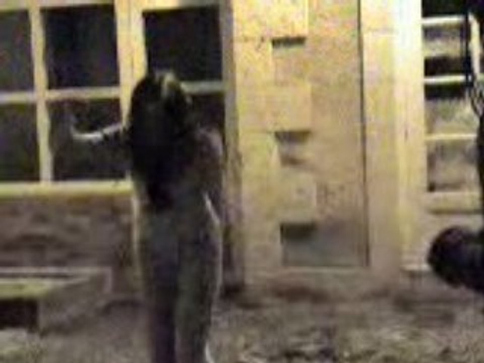 Ombeline é Joséphine