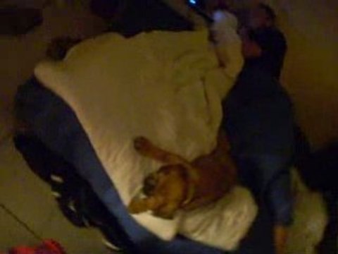 camboui 2 mois casse gueule!!!!