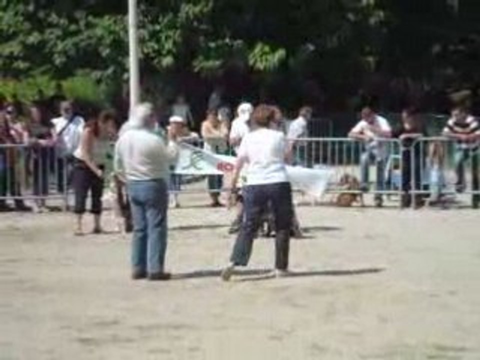 MOV02721