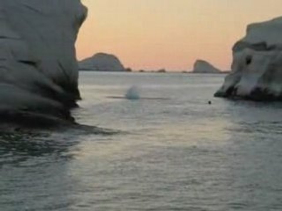 Le Saut de Fred