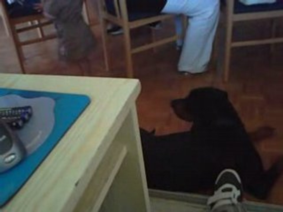 Video dailymotion