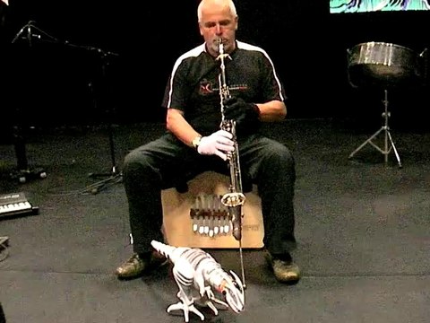 DANSE DU DINOSAURE - CLEMATRIX J'IRAI JOUER CHEZ VOUS