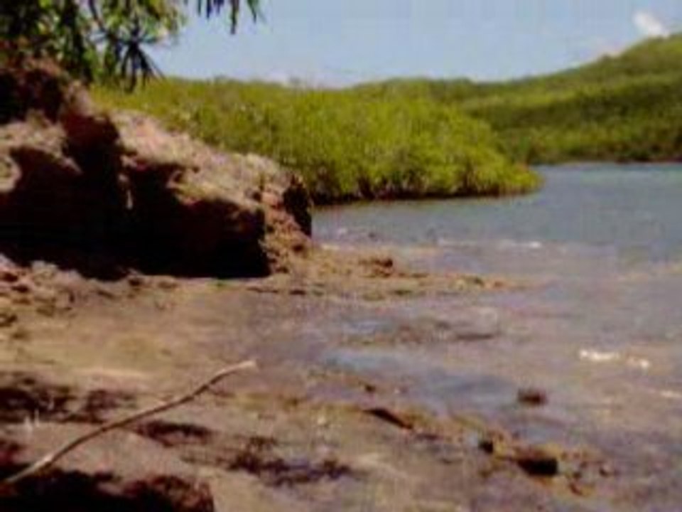 Pointe de la Caravelle, TARTANE MARTINIQUE