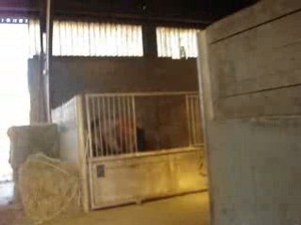MOV02444
