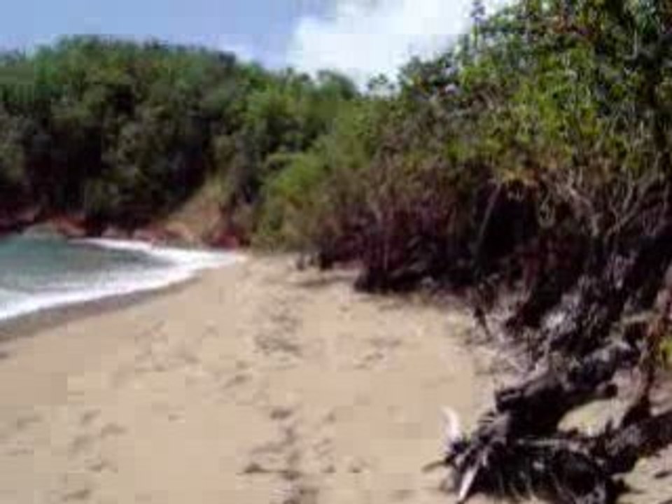 PLAGE DE LA POINTE ROUGE MARTINIQUE