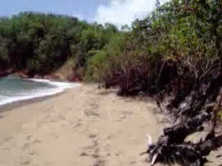 PLAGE DE LA POINTE ROUGE MARTINIQUE