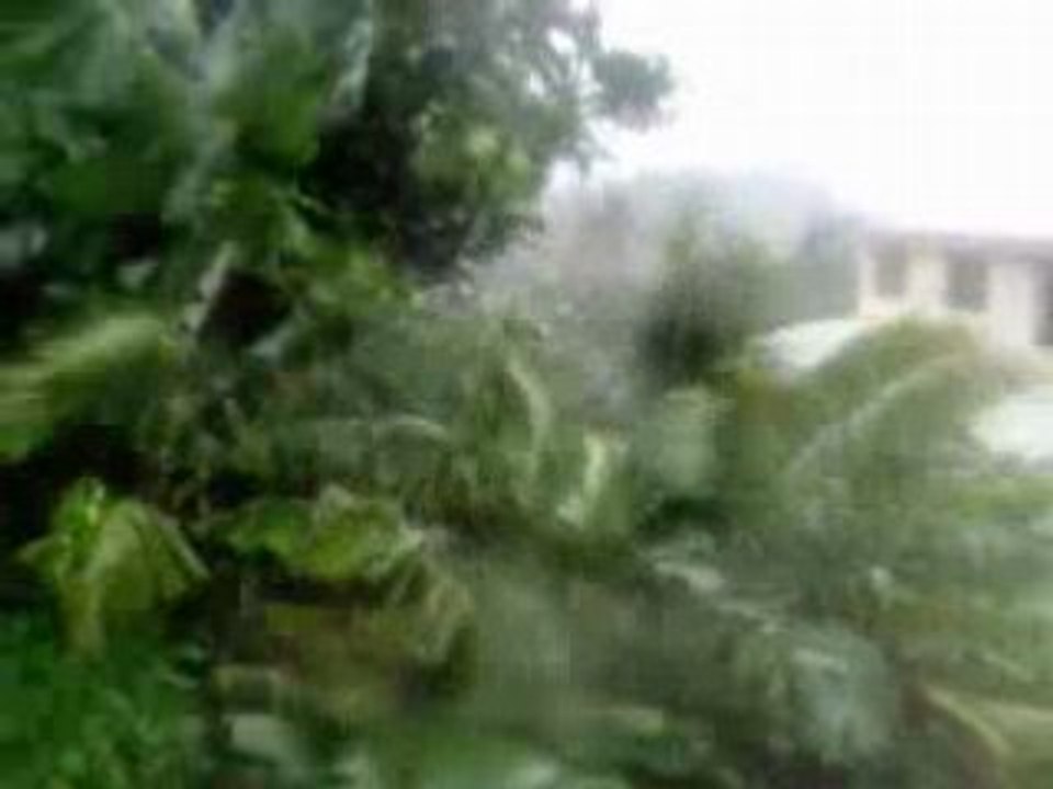 COUP DE VENT AU GROS MORNE II