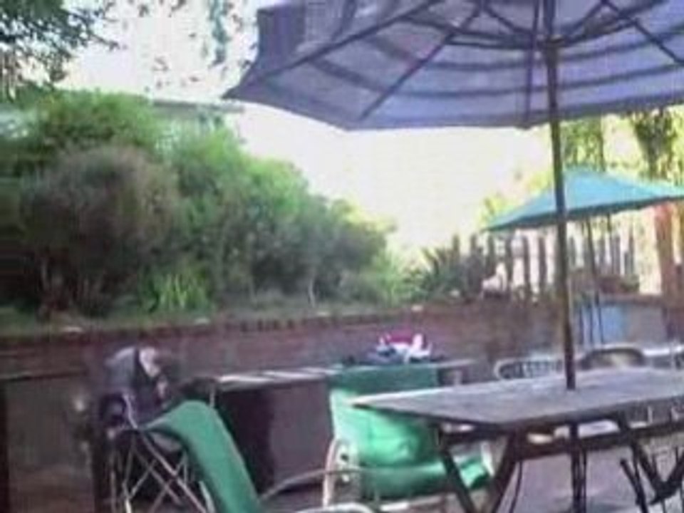 Santa Cruz Real Estate Listings