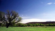 TIERRA DE AMOR Y CORAJE | CAPÍTULO 27