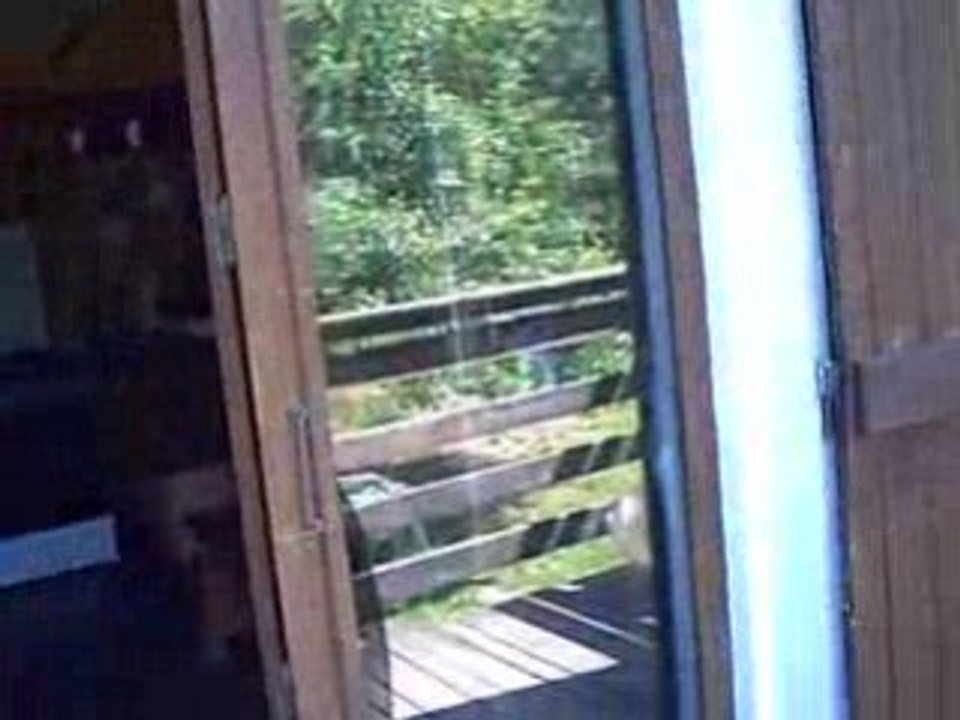CLIP0001