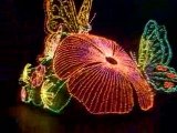 Parade nocturne de Disney