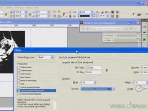 Adobe InDesign CS3 - Contour progressif directionnel