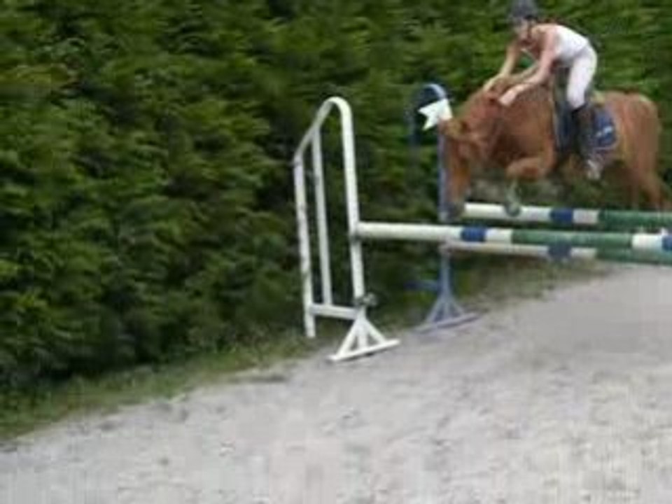 DSCN3558