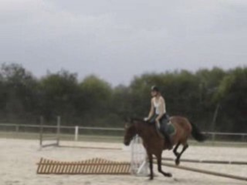 Stage technique Alexander