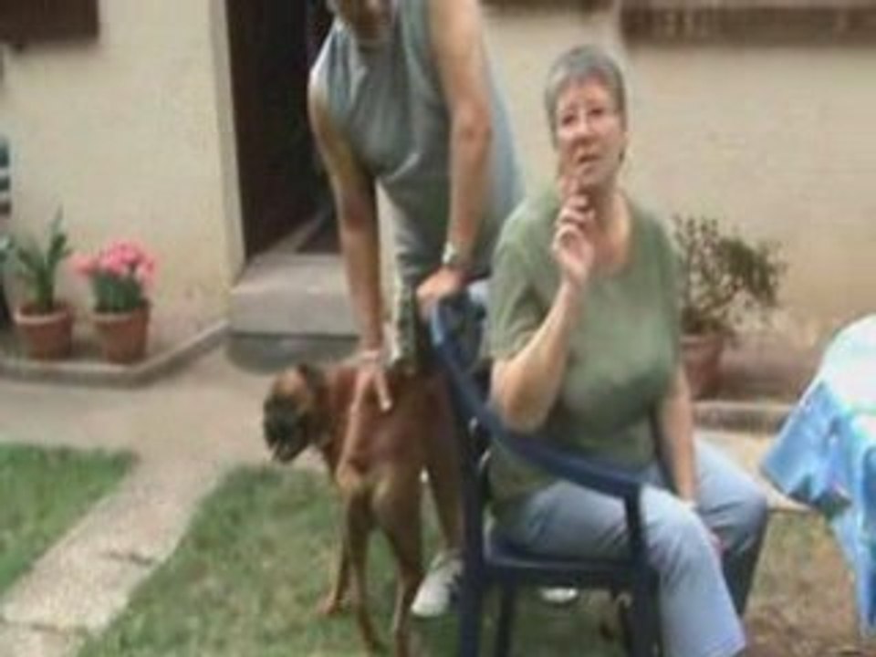 Beudy le Boxer