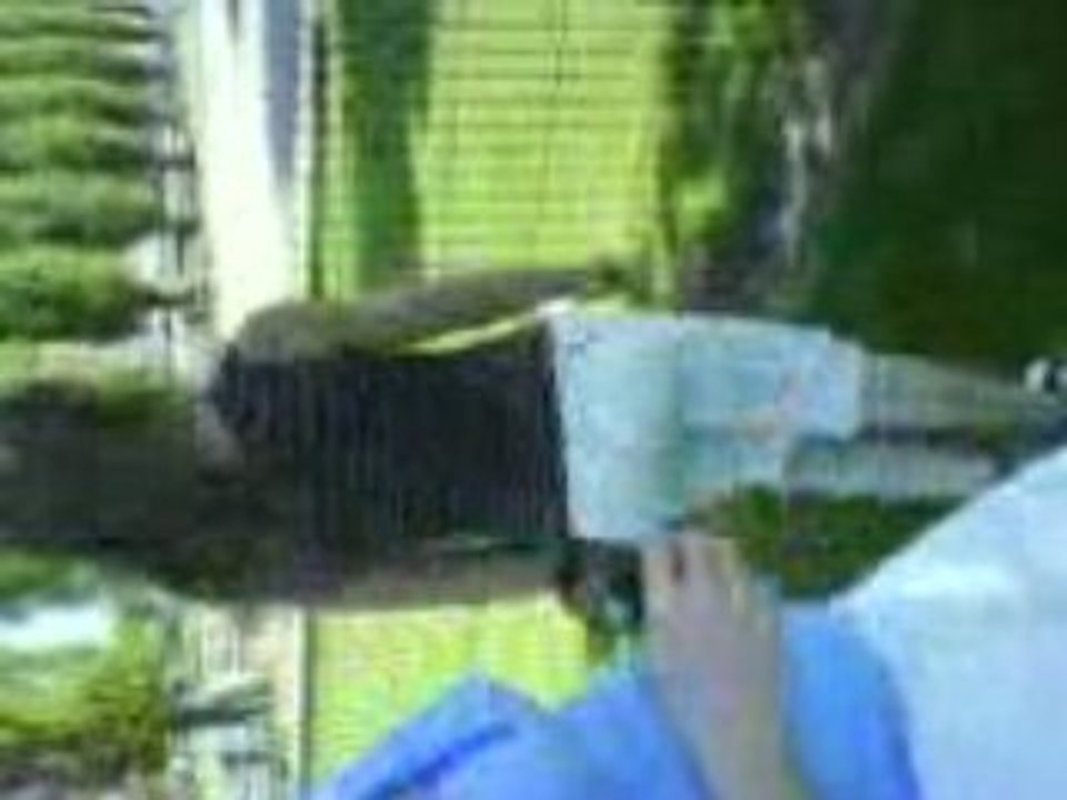 MOV00041