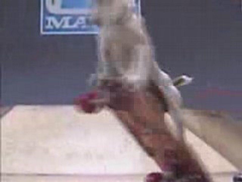 _le_chien_fait_du_skateboard_