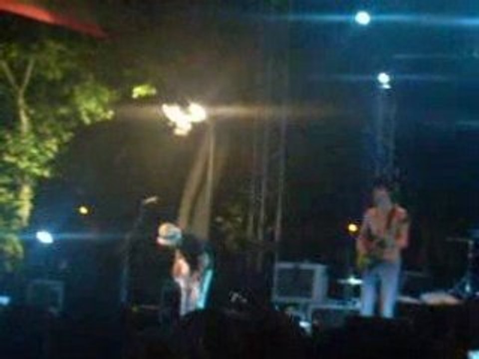BB Brunes