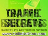 Download blackberry themes and read about traffic secrets