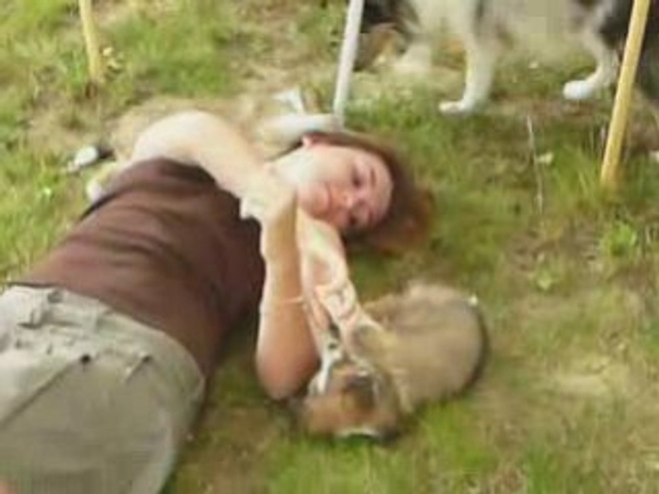 Denali et dakota 6 semaines