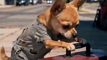 From Poor Mechanic to Real Boss! Unexpected Ending 🐶✨