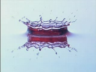 Splash-Wünsch dir was - StormracerRCRB -