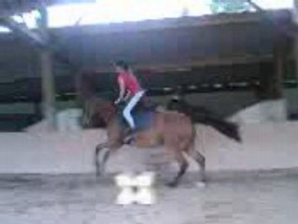 Succès petit saut d'échauffement