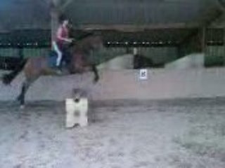 Au max des cubes 2