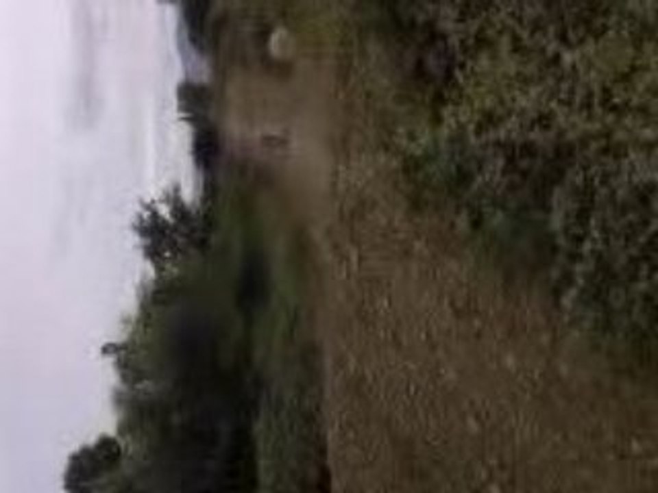 Vidéo0022