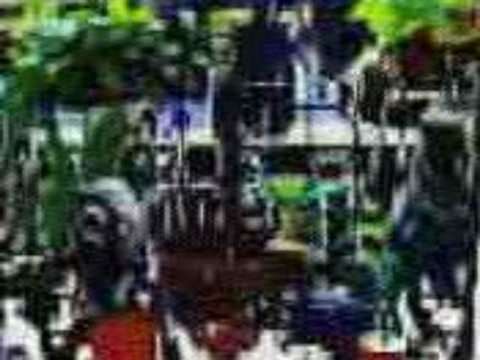 QUAND LE TELEPHONE DEVIENT FOU 1