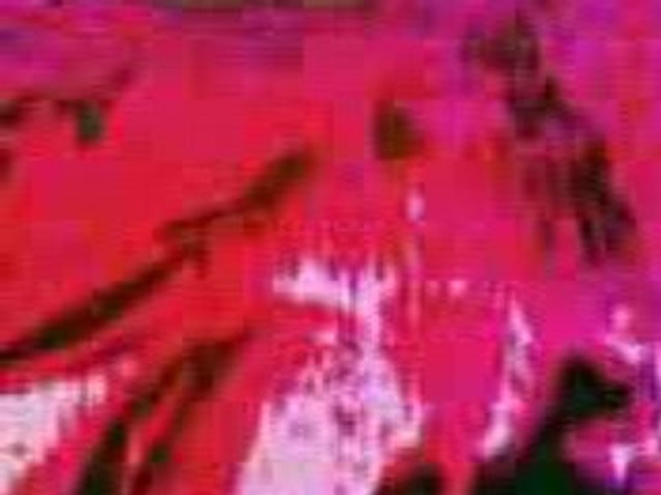 QUAND LE TELEPHONE DEVIENT FOU 2