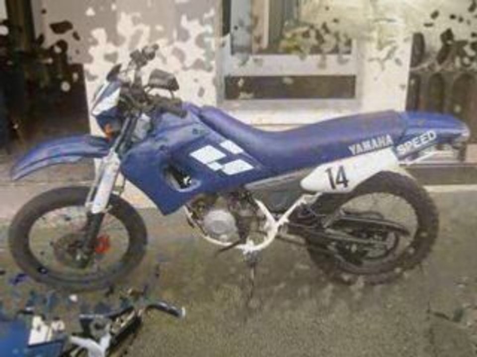 Dt50redbull replica2