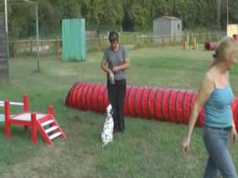 Diva premiers pas agility 1 aout 2008