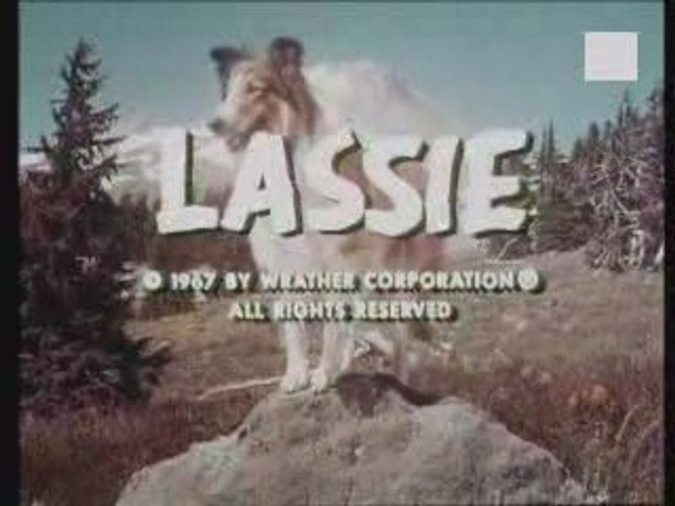 Lassie