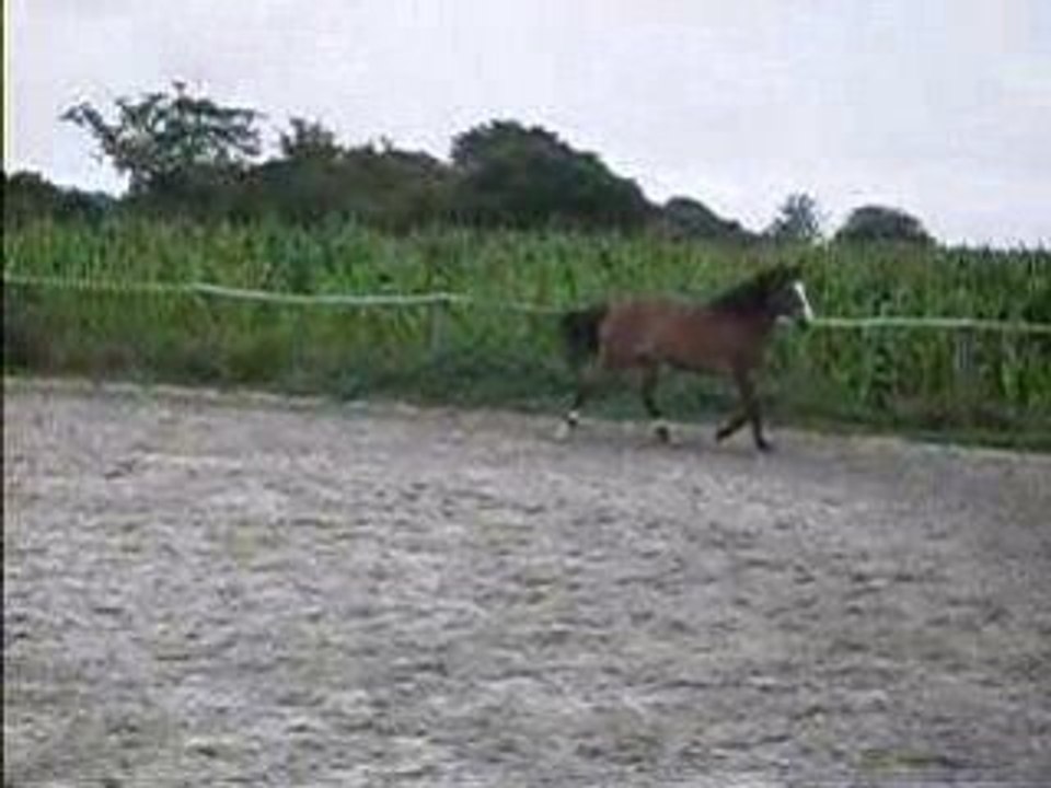 le gros en action