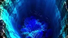 The Sapphire Depths | Surreal Nature Fantasy