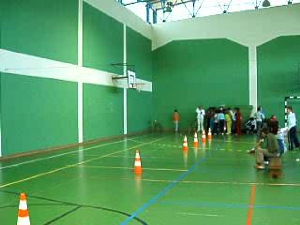 Mega Sprinter