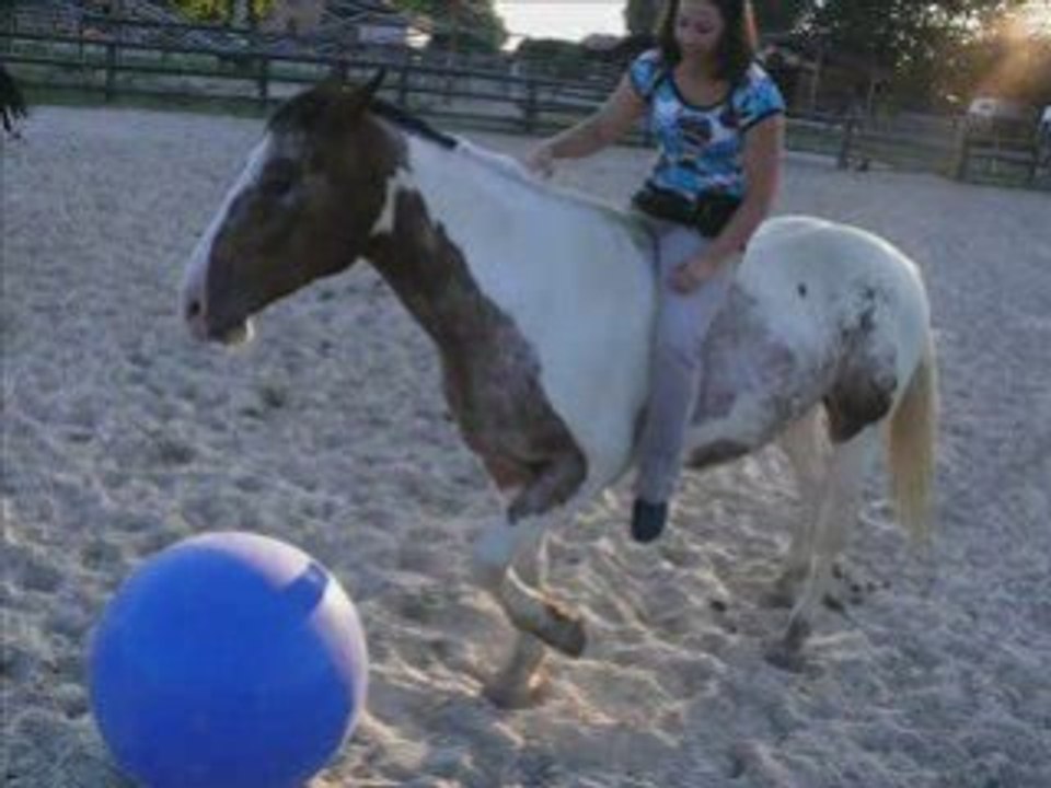 Jeu Horse Foot ...