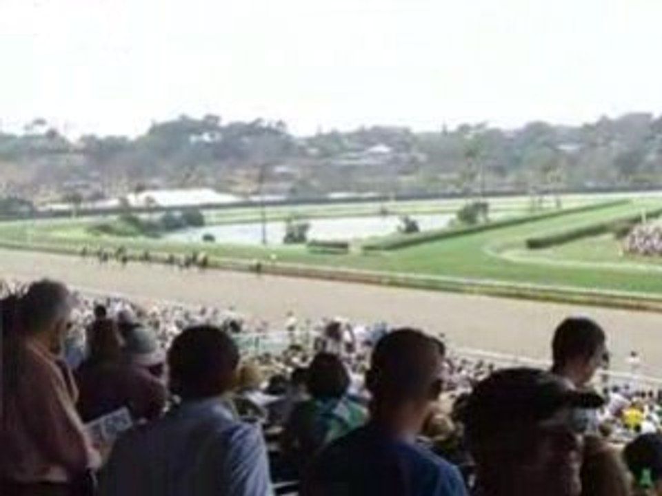 Del mar horses