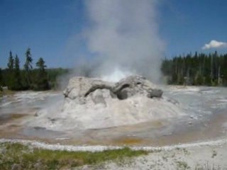 Grotto Geyser à Yellowstone