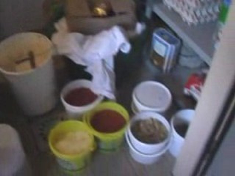 St laurent 2008 pressiat amis du mont myon partie 1