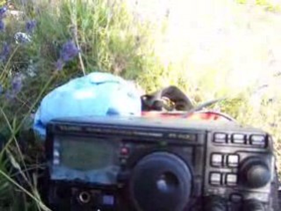 DJ5AA - - F/AM-578