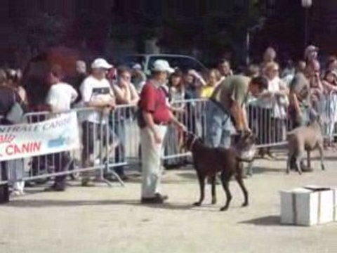 Le puy en velay 2008