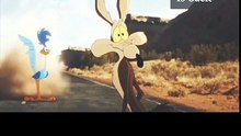 "Road "Runner: 75 Years of Chase.