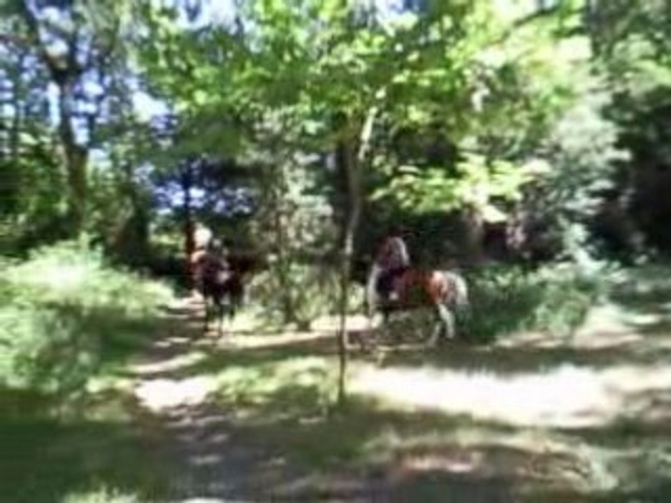 Vidéo030
