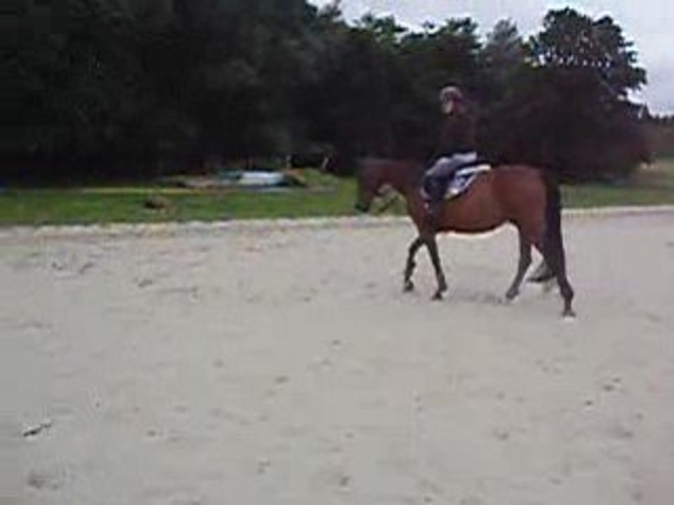 Obstacle samedi 2 aout 016