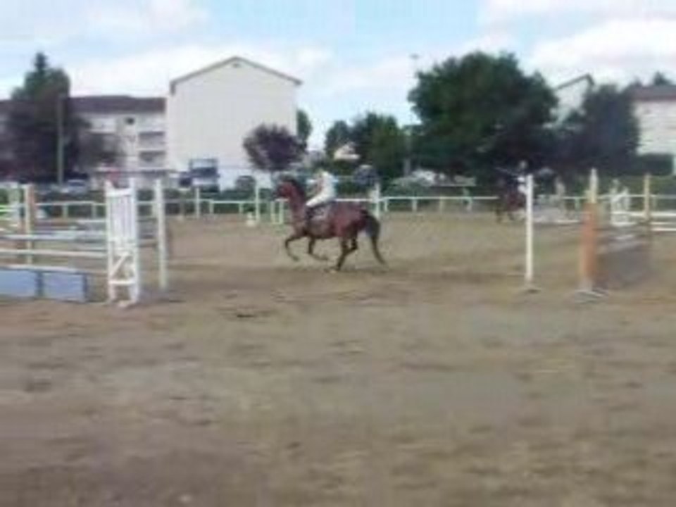 DSCN1442