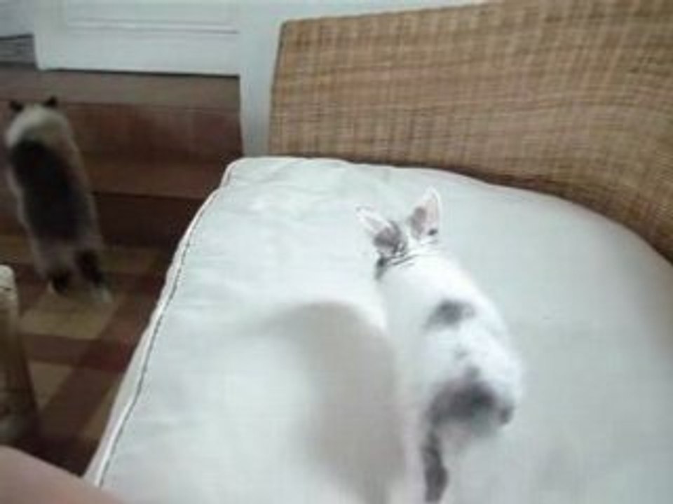 MOV05535